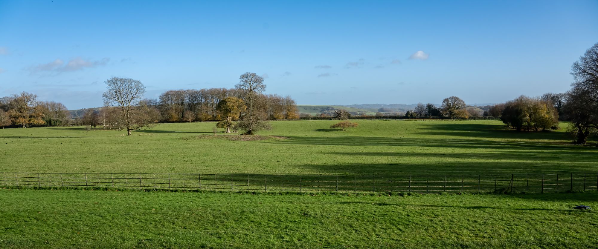 Manor House GIS Trees